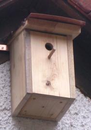 Nistkasten